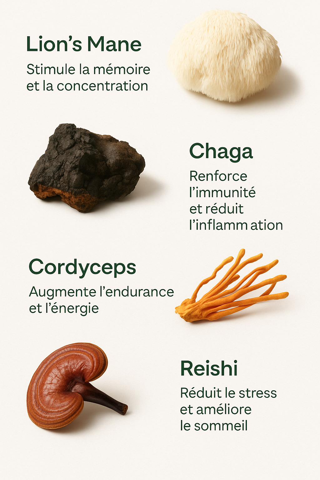 Allège-moi – Le café aux champignons